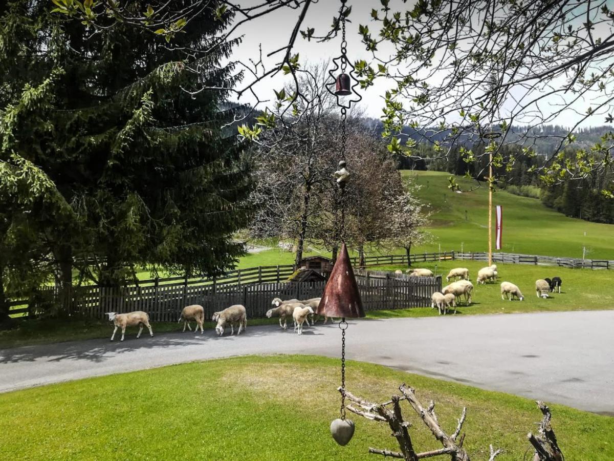 Pension Walchauhof Flachau Extérieur photo